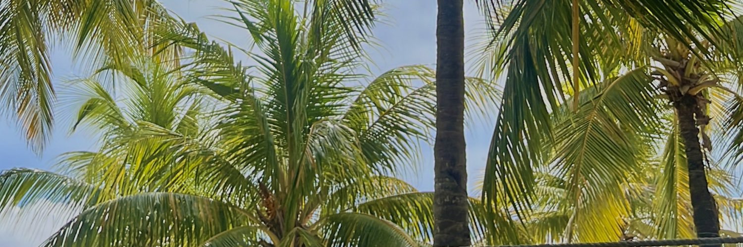 laillevatilde's profile banner image