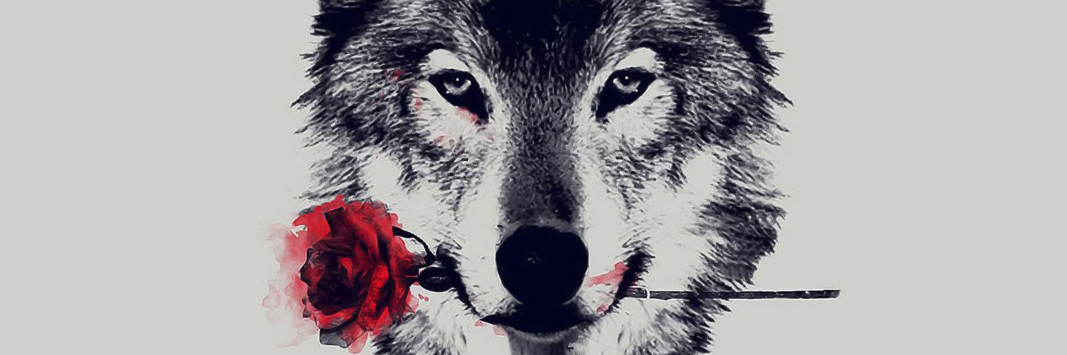tiago2048's profile banner image
