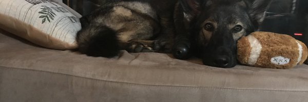 TeacheCoates Profile Banner