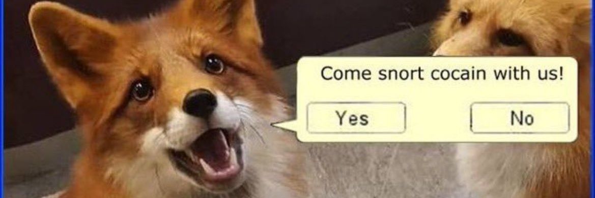 рэд харукао ботка banner