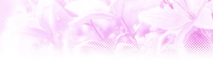 B4SSIE ᡣ𐭩 . 𝐬𝐡𝐭𝐰𝐭 banner