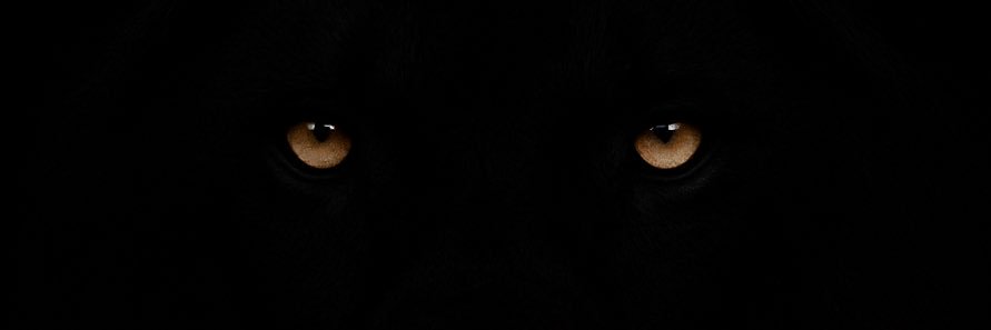 mrt_uls's profile banner image
