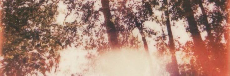 Melian. banner