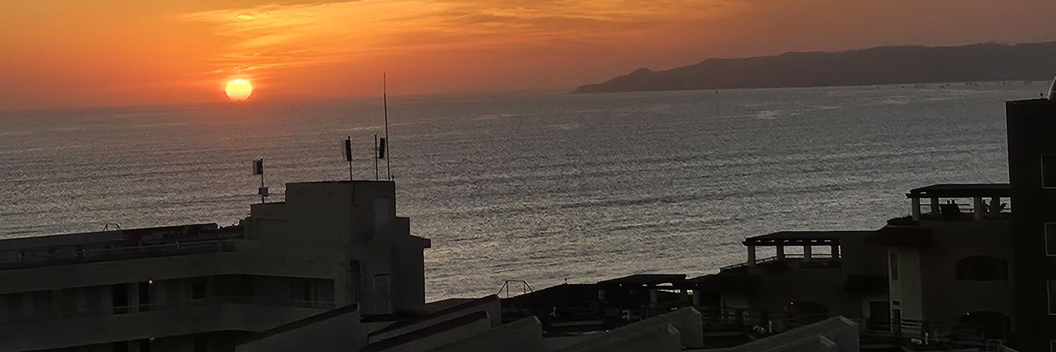 Ellen Whiteman banner