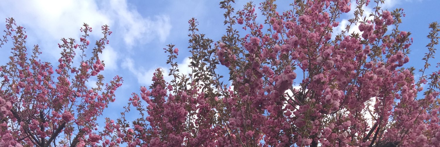 Dwayne Edghill banner