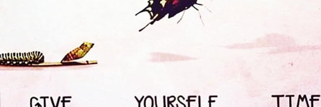 femifamod's profile banner image
