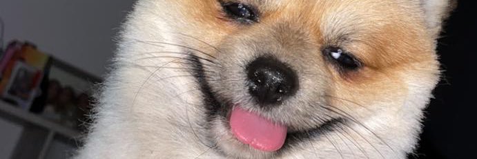 EnrickQu97's profile banner image