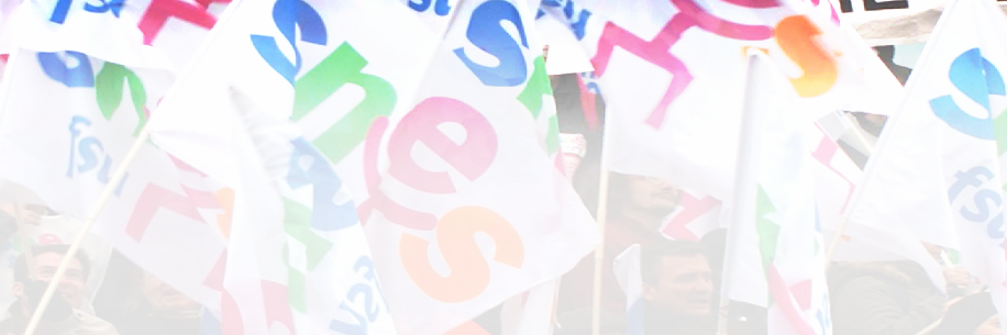 SNESFSUDIJ's profile banner image