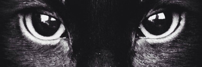King_ECOD's profile banner image