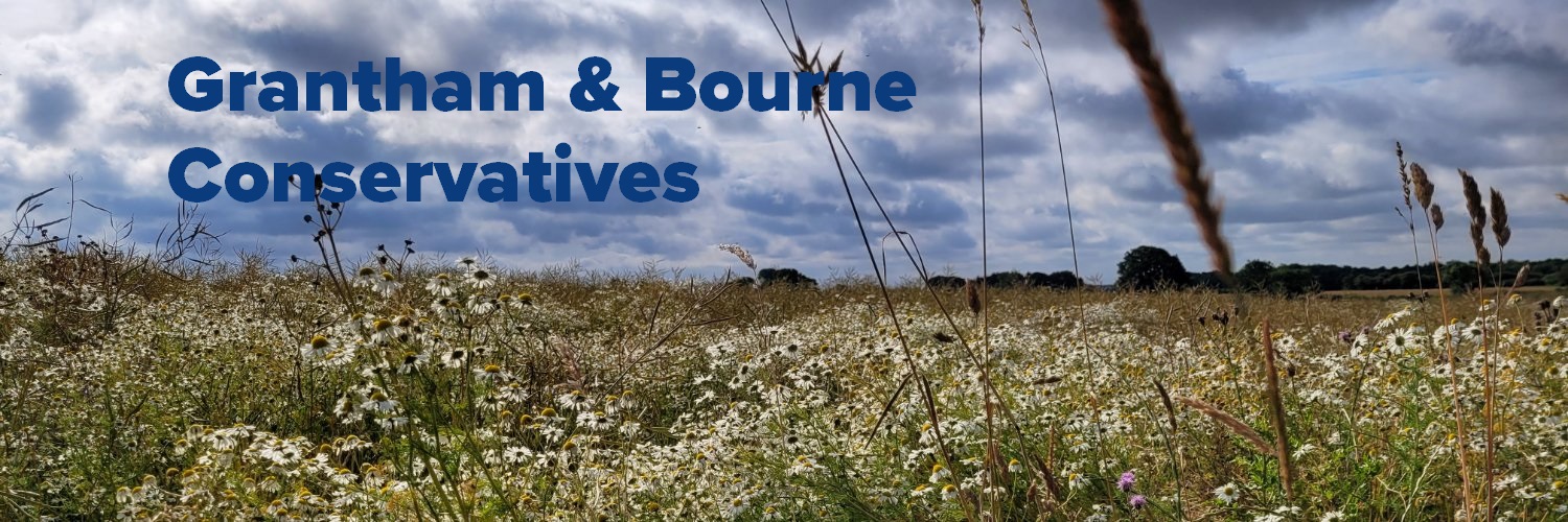 G_B_Cons's profile banner image