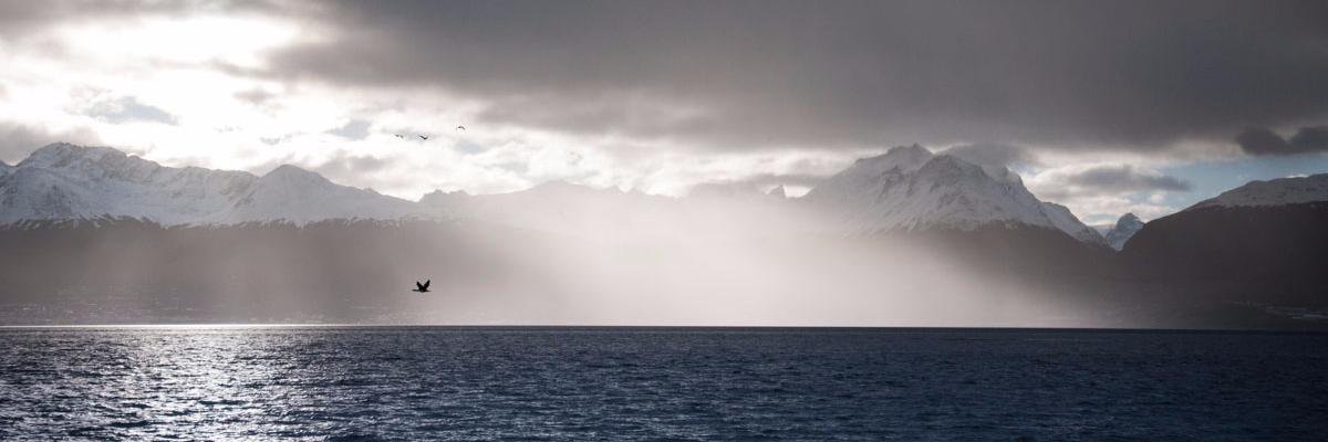natisanchez210's profile banner image