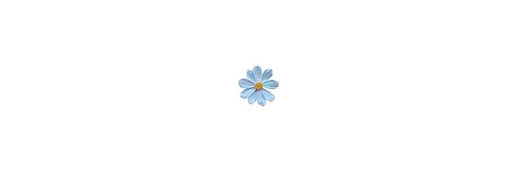 cami's banner