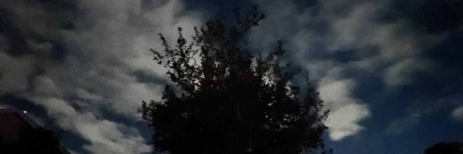Jasonasonic's profile banner image