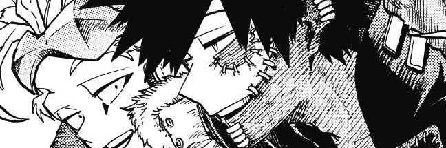 vea banner
