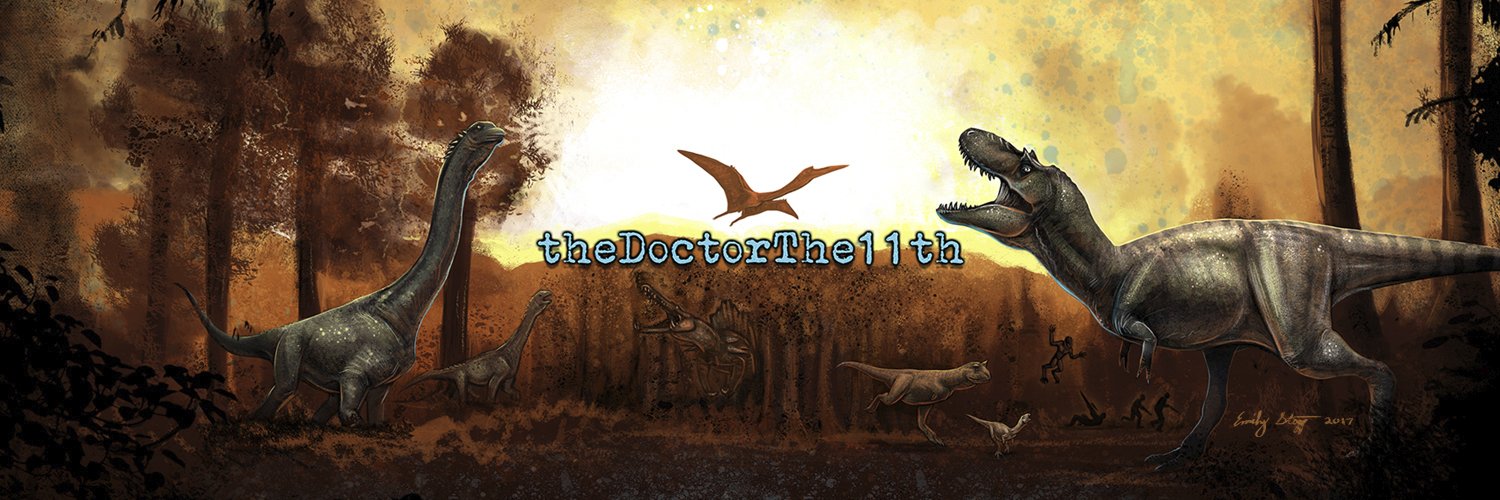 thDoctorTHE11th's profile banner image