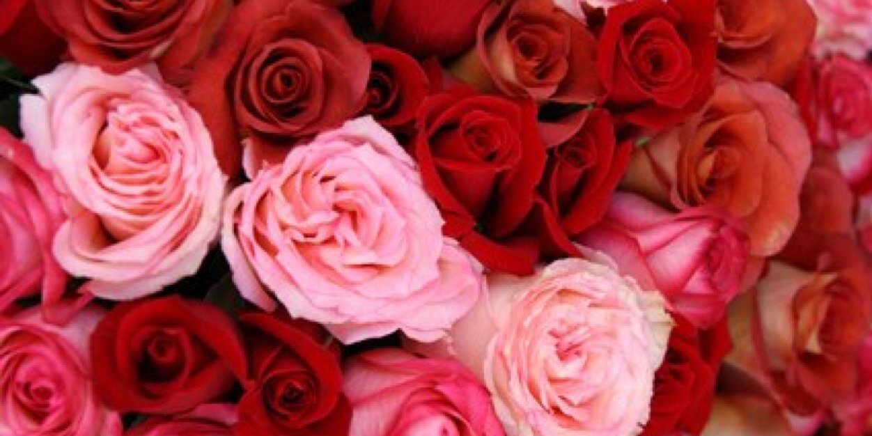 luv0suck_it's profile banner image