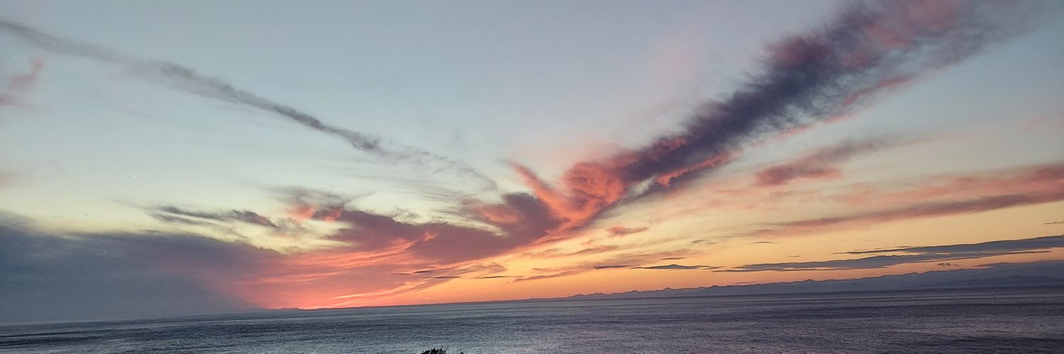 senbasama's profile banner image