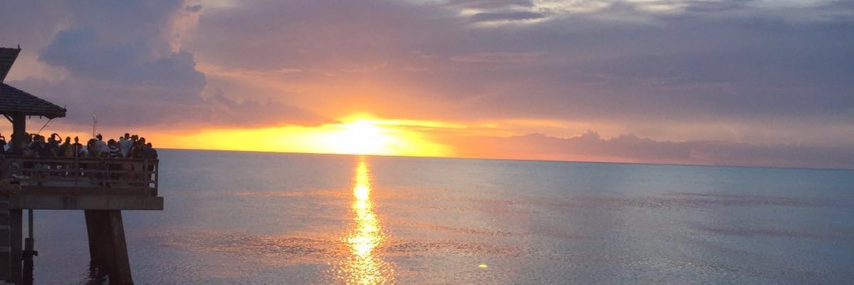 anmolimoli's profile banner image