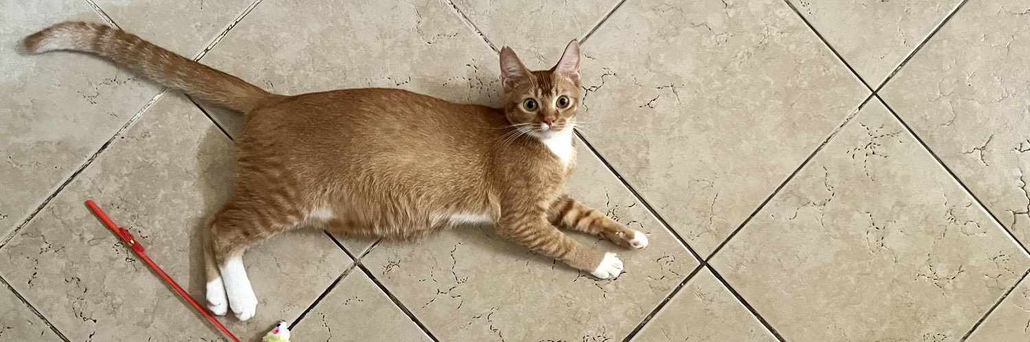 arcoriux's profile banner image