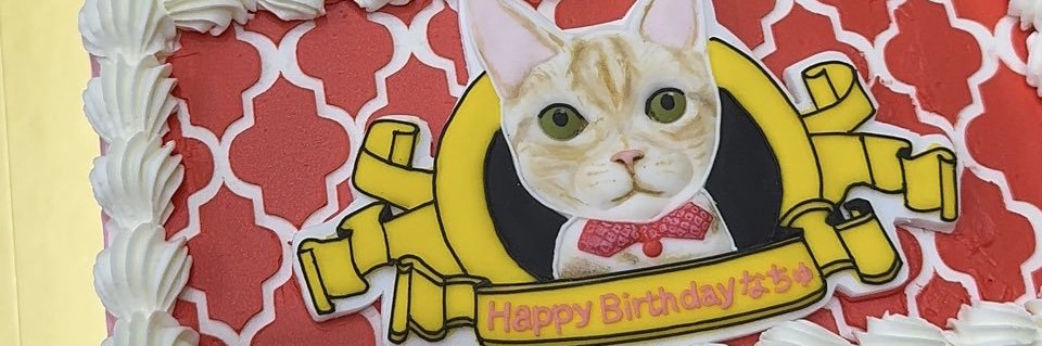 なちゅ👼🧡 banner