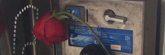 d’s banner
