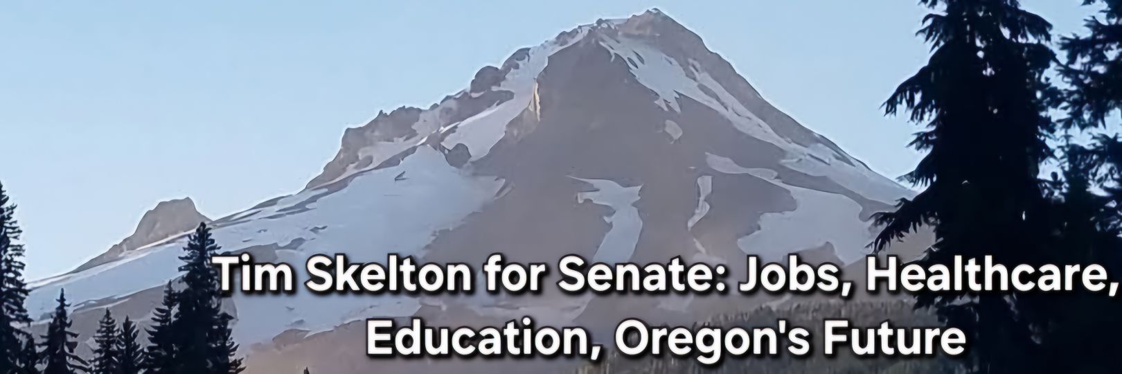 Tim Skelton banner