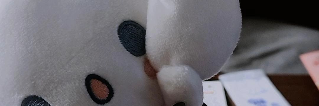 ynynll_c's profile banner image