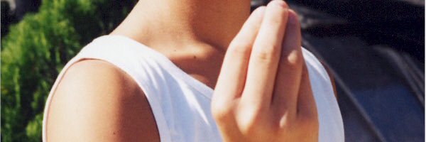 _shelltoe's profile banner image