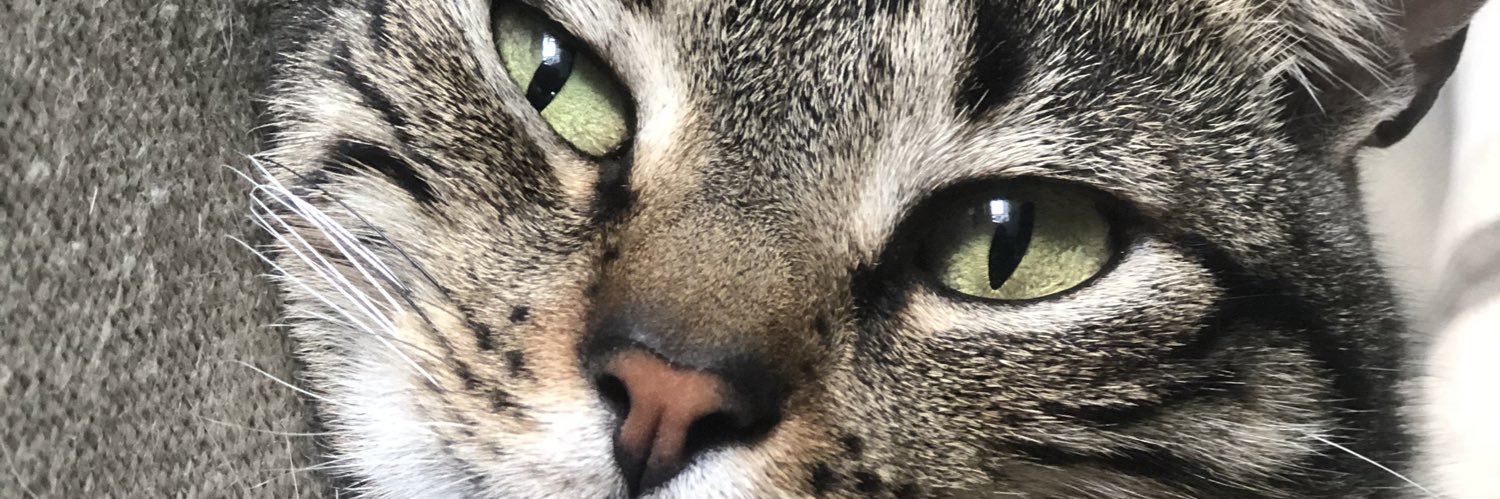 francorrall's profile banner image