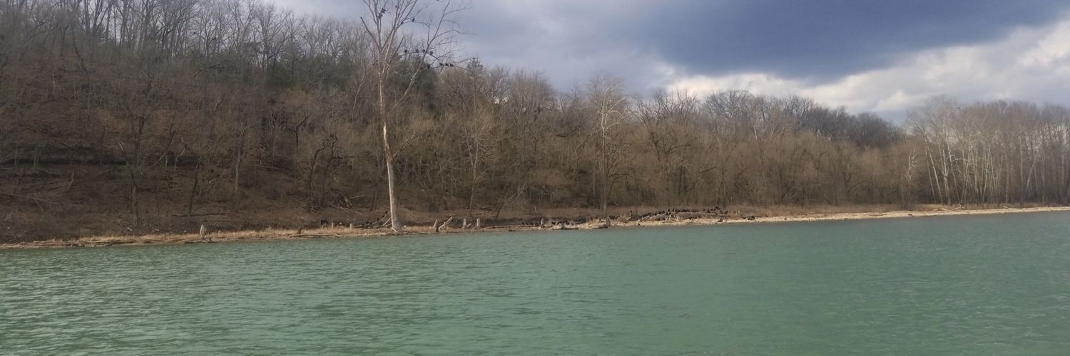 CharisseParton's profile banner image