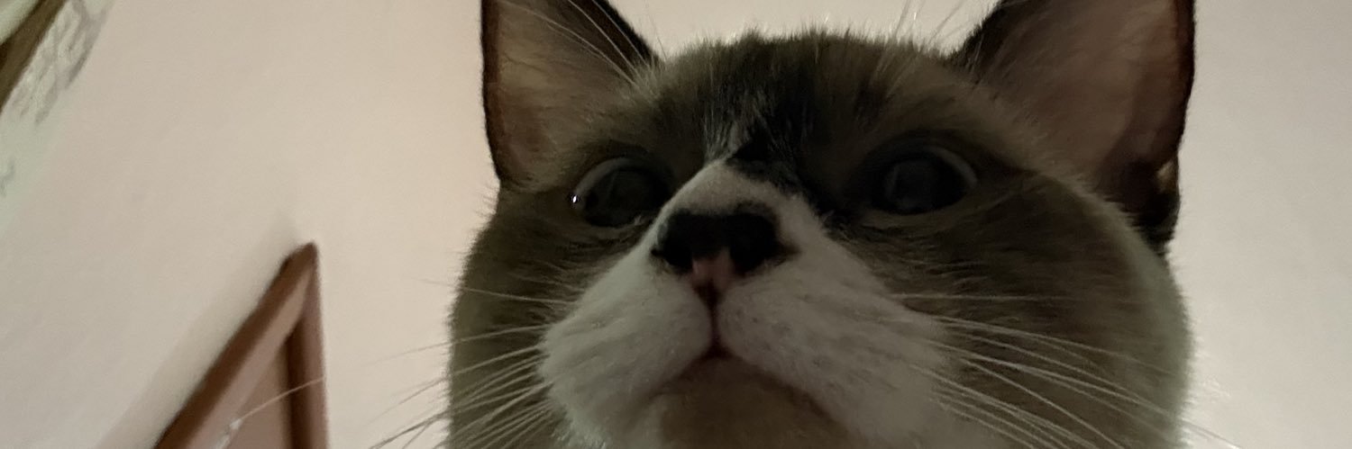 ArenasAle_'s profile banner image