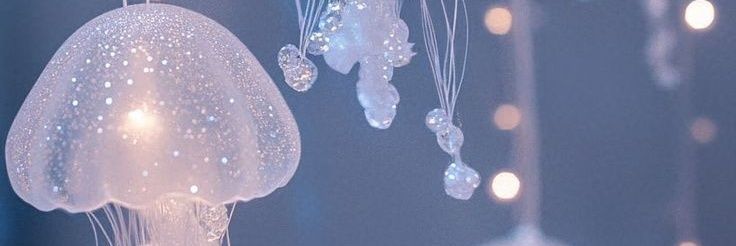 mizuki@4/19SGC banner