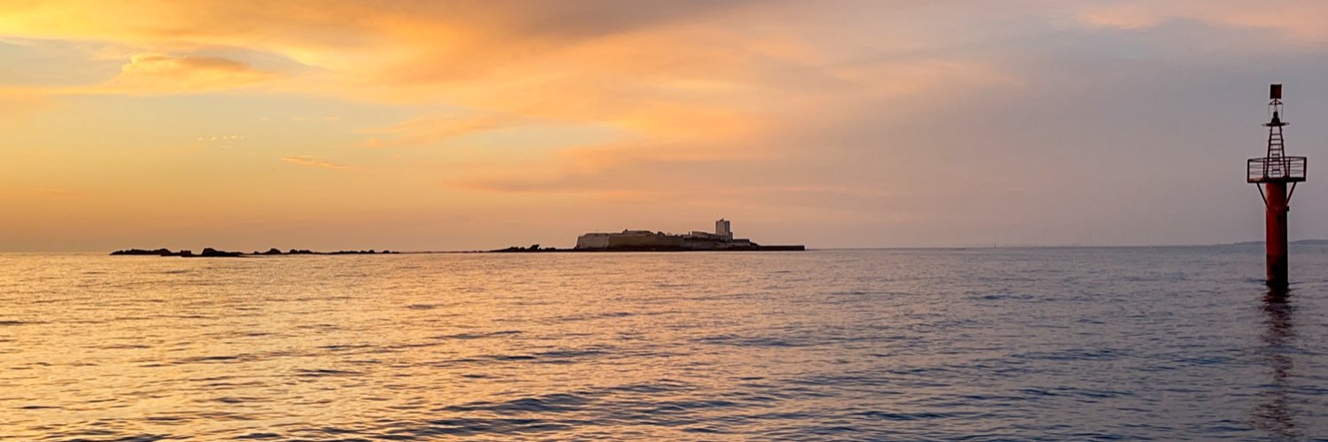 Jesús Flores MD banner