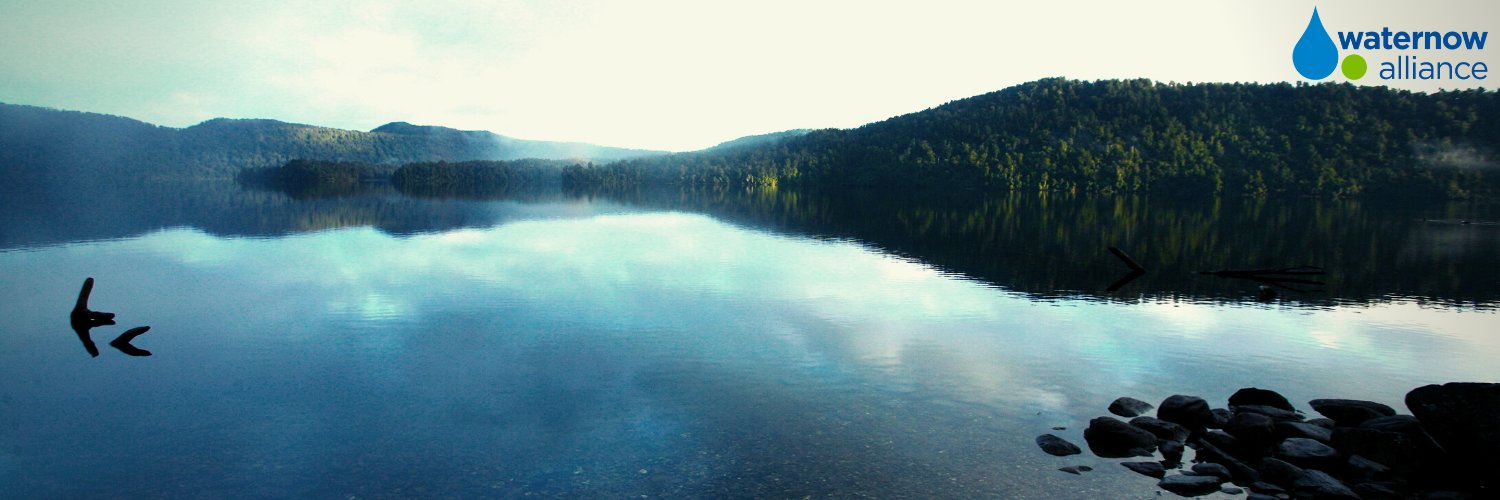 WaterNow Alliance banner