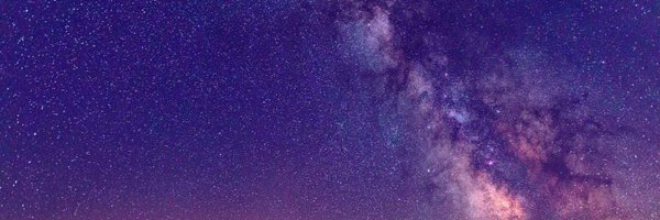 Neva_labs Profile Banner