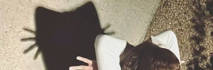 CarysWithrow's profile banner image