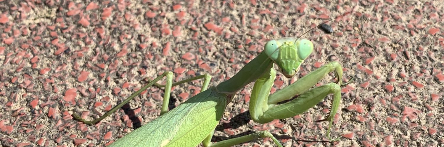 勅使河原宮 貞治 banner
