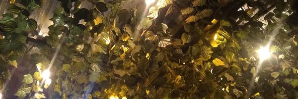 Classyperk55 Profile Banner