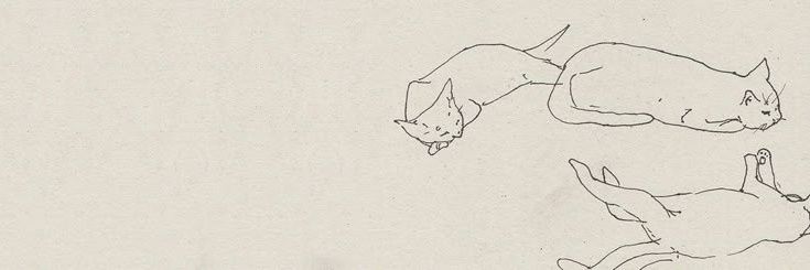 Gus. 🐾 banner