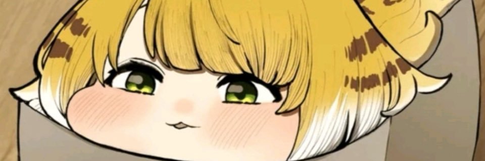 G banner