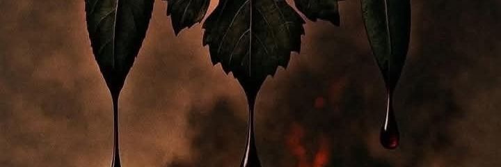 Shaddoud_A's banner