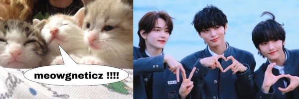 ididwonbin Profile Banner