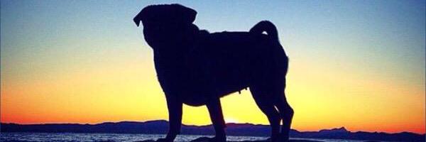 LeviGoodies's profile banner image