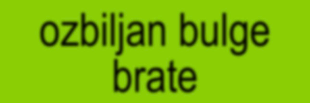 SerBro 🇷🇸 banner