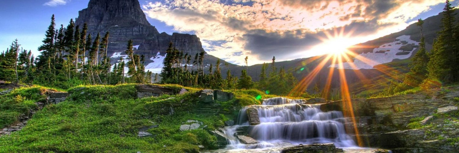 Meachele Campbell banner