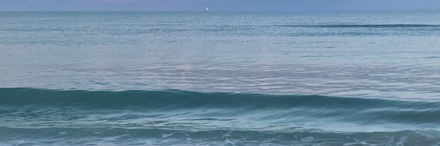 SarahBellizzi's profile banner image