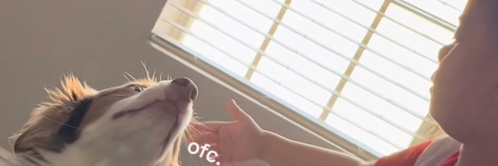 marccamaron's profile banner image