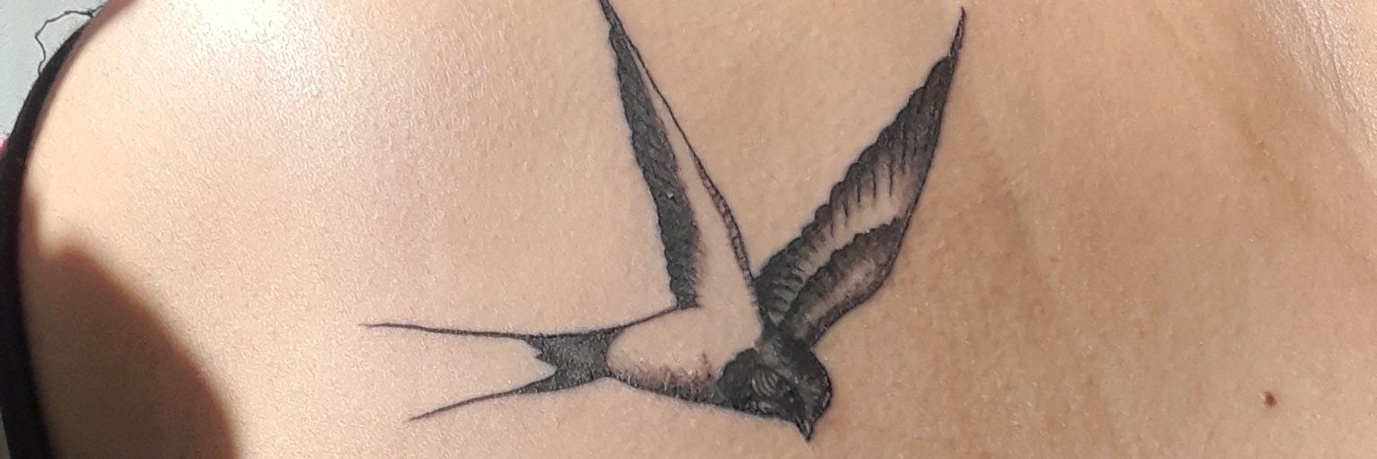 Flor Chu 🎀 banner