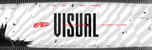 VisualVLR Profile Banner