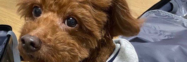 TeamJayQ Profile Banner